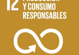Objetivo 12: Garantizar modalidades de consumo y producción sostenibles